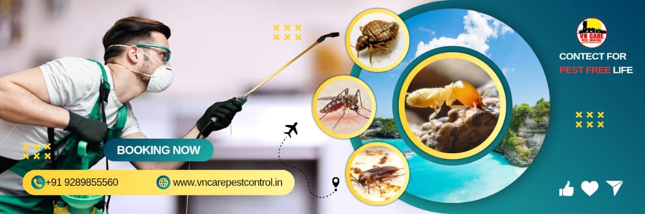 VN Care Pest Control, Pest Control Sangam Vihar, Termite Control Sangam Vihar, Pest Control Uttam Nagar, Termite Control Uttam Nagar, Pest Control New Delhi, Termite Control New Delhi